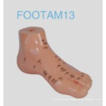 Foot Acupuncture Model (13cm)